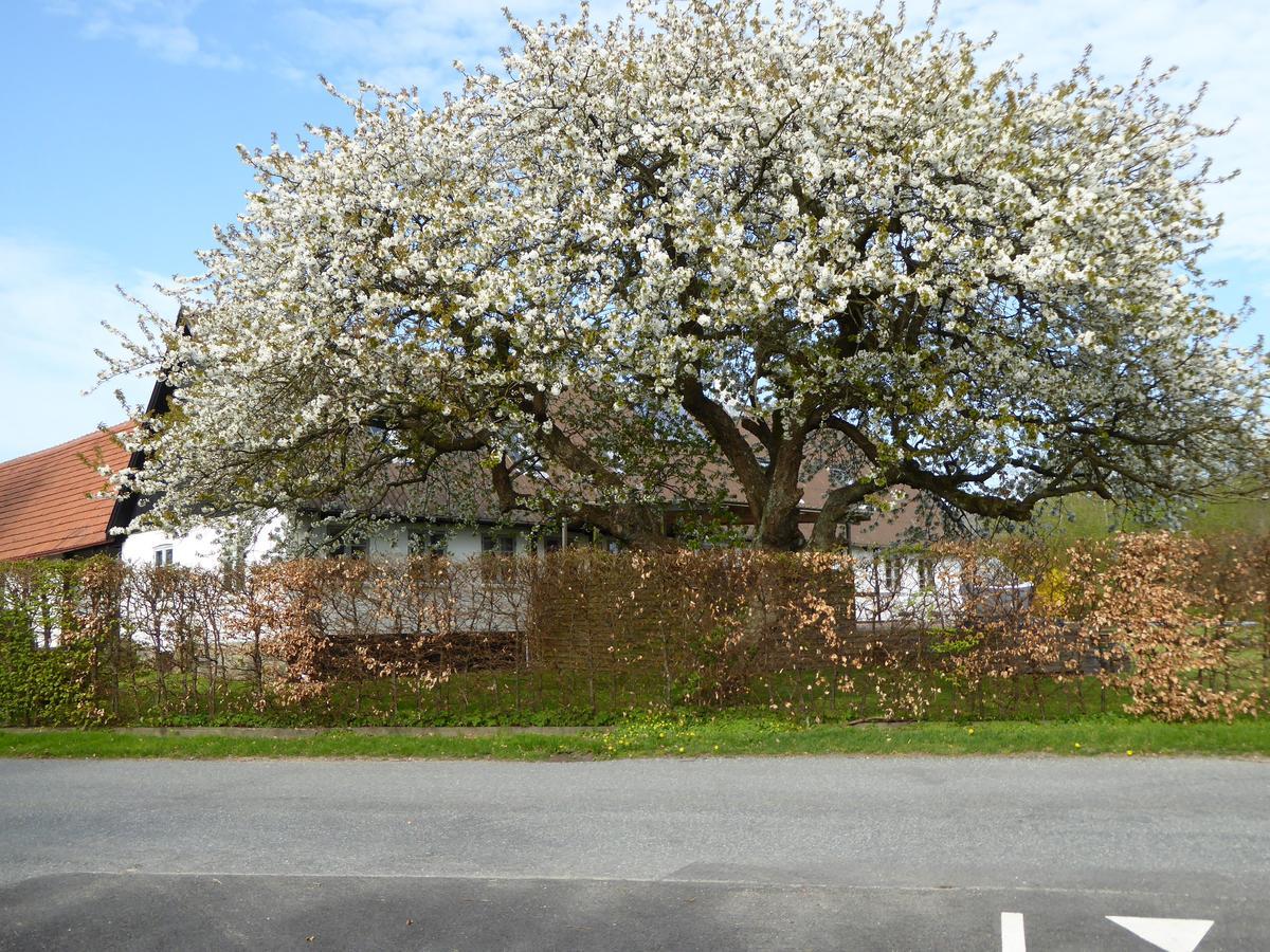 Gard Borre Exterior foto