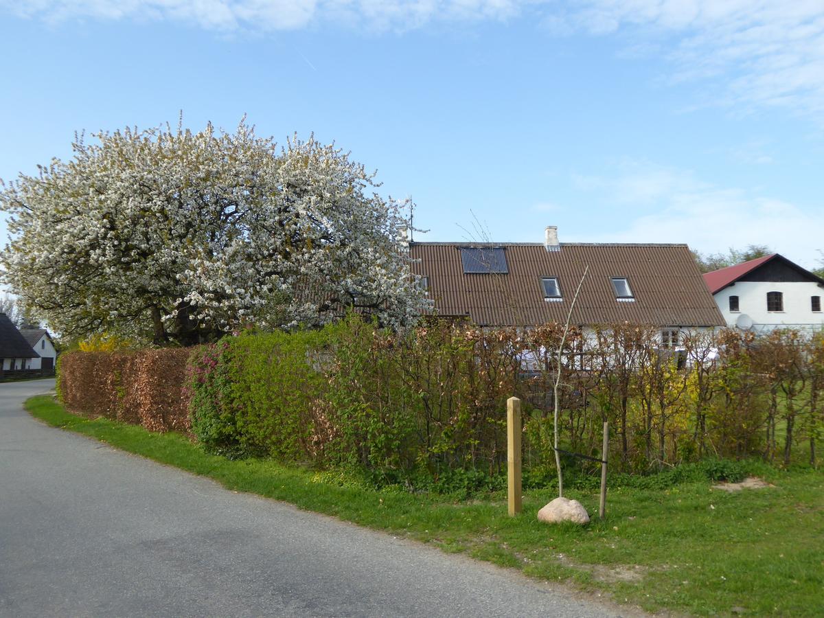 Gard Borre Exterior foto